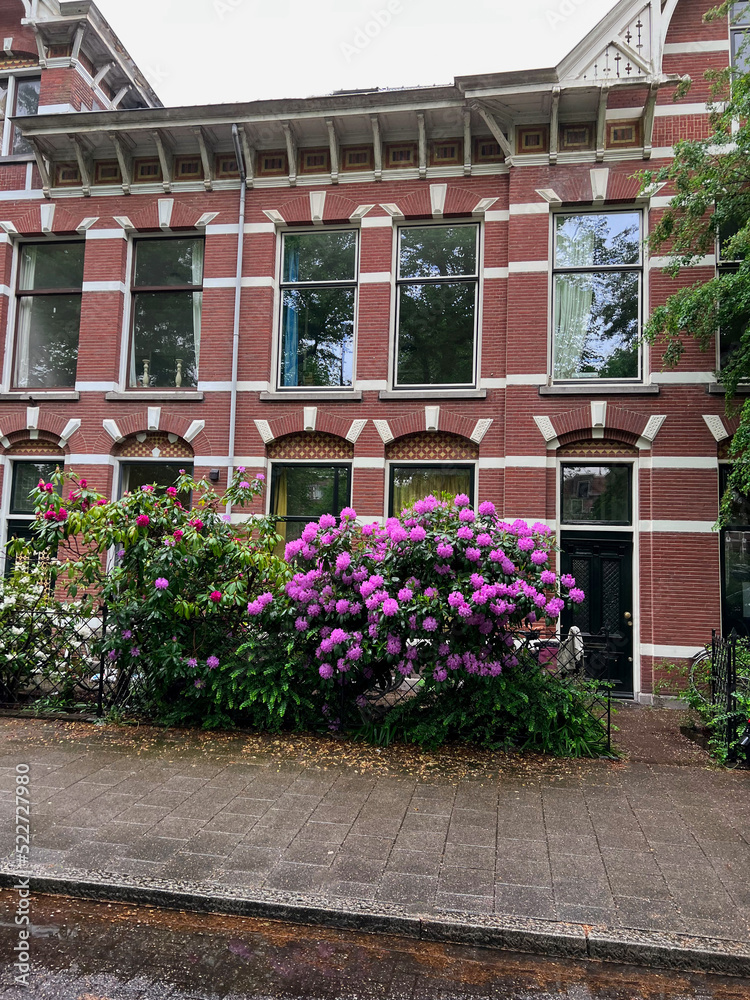 Modern residential building with beautiful blooming flowers on city street