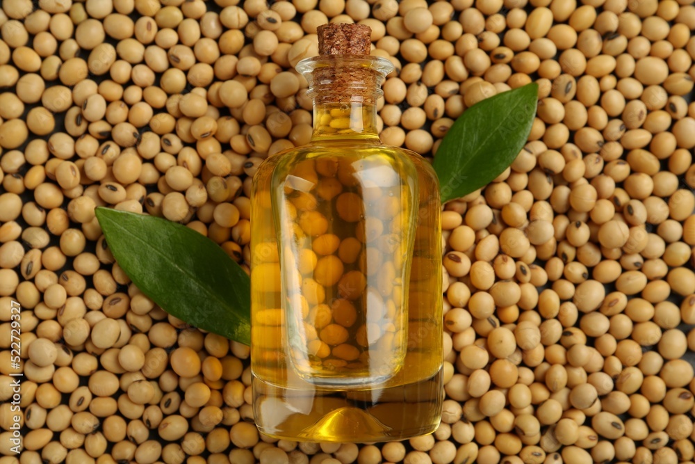 Bottle of oil and green leaves on soybeans, top view Bottle of oil and green leaves on soybeans, top view