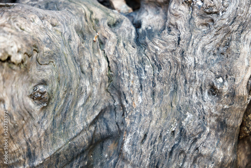 wood texture