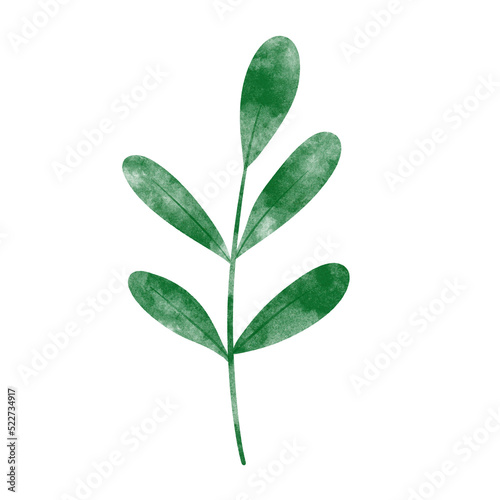 leaf in watercolor