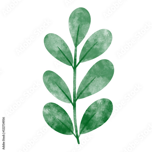 leaf in watercolor