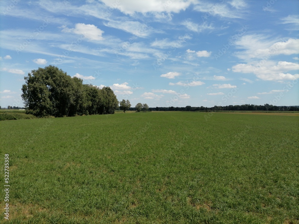 field and blue sky