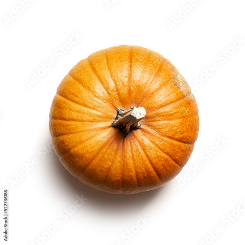 Orange pumpkin isolated on white background. Food photography. Halloween concept. Top view. Part of set different kinds of pumpkins.