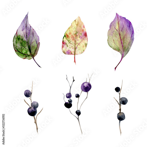 Watercolor set of hand drawn elements with autumn berries, branches and leaves. Isolated on white background. Design for invitations, wedding or greeting cards, wallpaper, print, textile