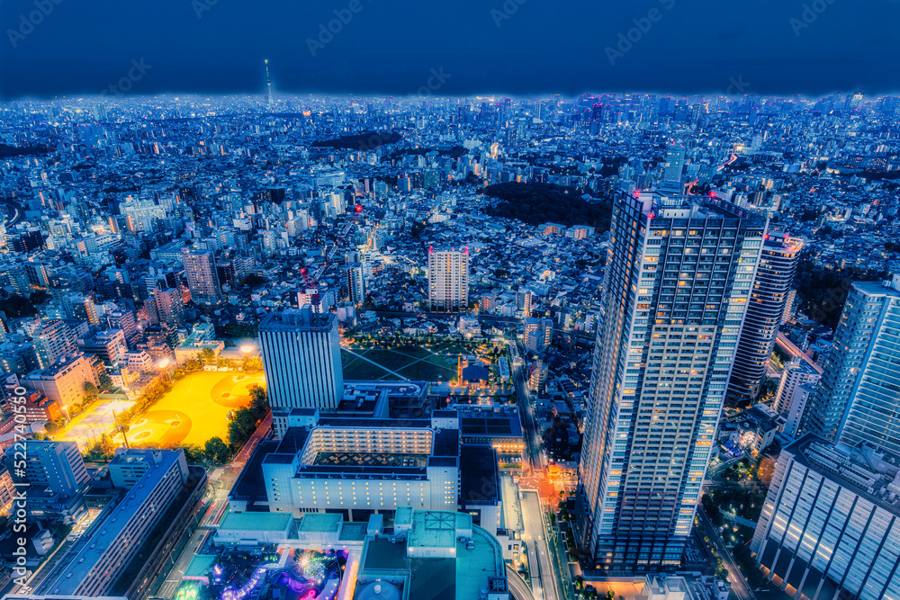 Fototapeta premium 池袋夜景