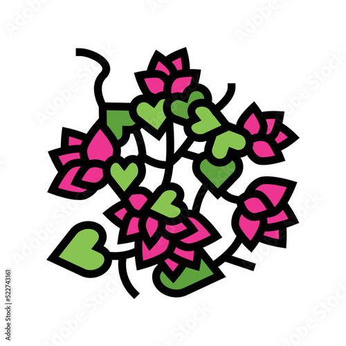 bougainvillea liana color icon vector. bougainvillea liana sign. isolated symbol illustration