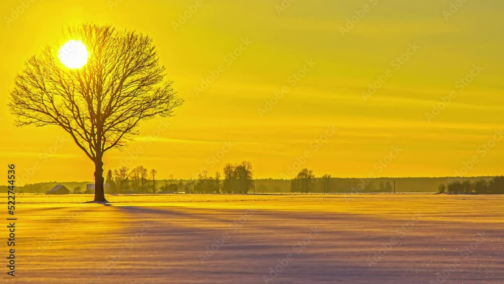 A bright yellow sunset over a field of snow and a lone tree - time lapse