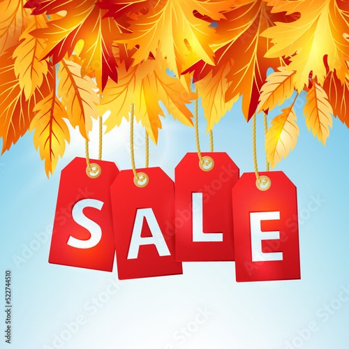 Autumn sale banner with colorful fall leaves.