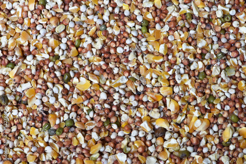 Texture of seed and grain mix for bird feed and livestock . Texture of seed and grain mix for bird feed and livestock .