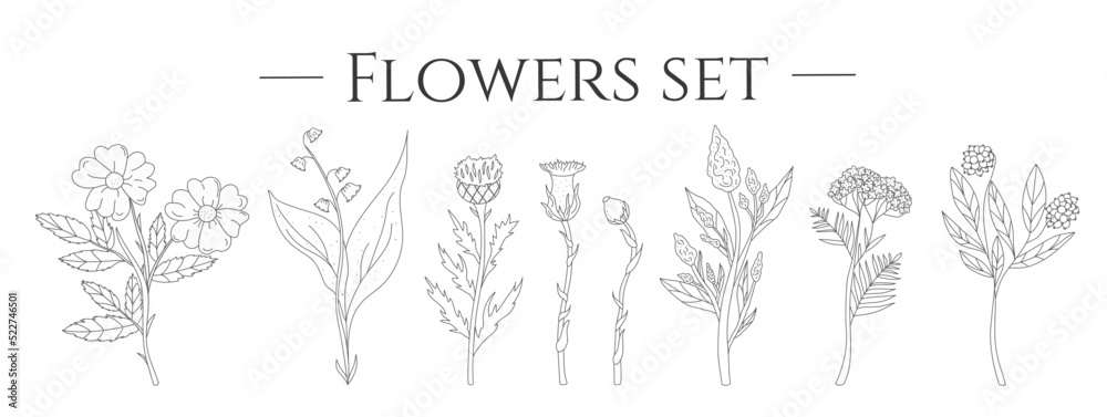 Set with flowers in hand drawn style. Collection. Dry grass. Boho. White background. isolated. Doodle. Hawthorn. Violet. Vector stock illustration Set with flowers in hand drawn style. Collection. Dry grass. Boho. White background. isolated. Doodle. Hawthorn. Violet. Vector stock illustration