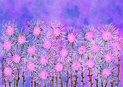 pink field of handpainted flowers, floral illustration with daisies