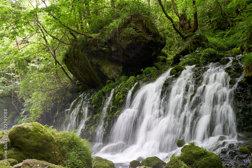 Obraz premium 元滝伏流水