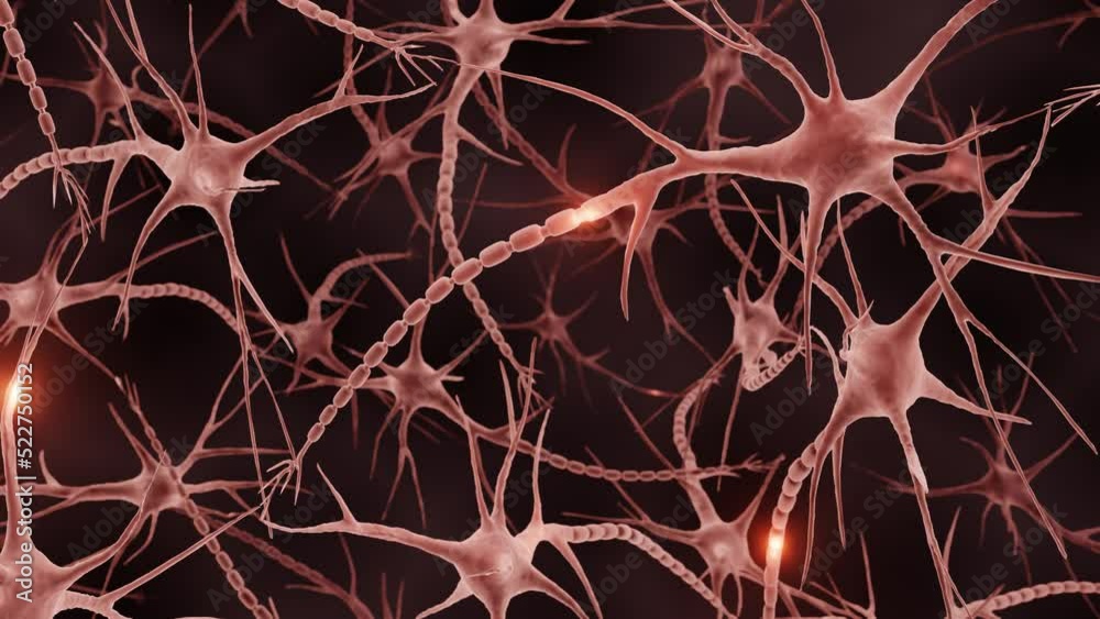 Neurons firing electrical impulses