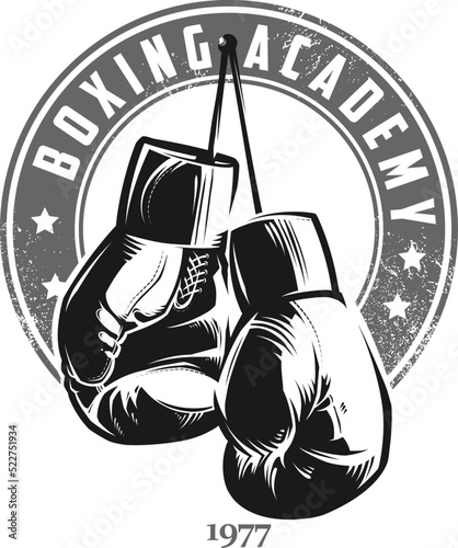 Boxing Gloves
