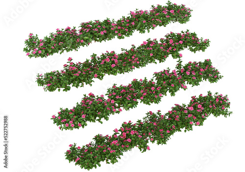 Shrubs and flowers on a transparent background. © jomphon