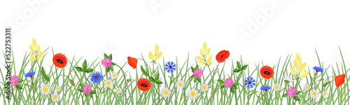 Wild meadow flowers horizontal border. Vector color isolated illustration 	