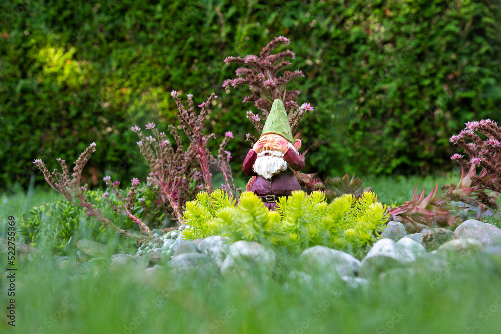 
Low angle selective focus view of cute dewy decorative garden gnome with his hands on his eyes set in small rock garden with several succulent plants 