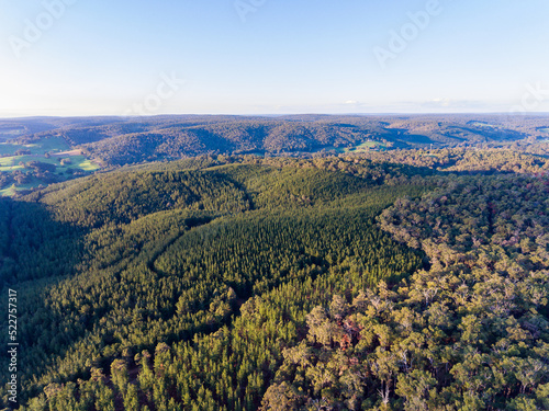 forested landscape of rolling hills photo