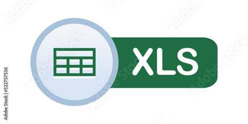 XLS icon. Excel File format symbol Vector illustration. Can be modified as XLSX and XLSM icons. 
