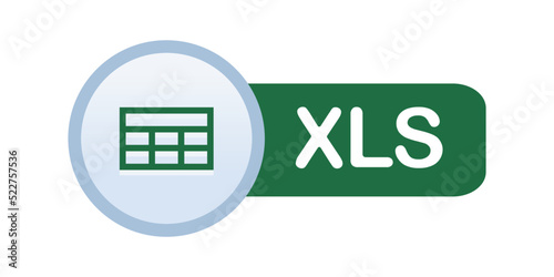 XLS icon. Excel File format symbol Vector illustration. Can be modified as XLSX and XLSM icons.
