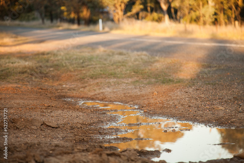 Afternoon light reflected in a mud puddle by the roadside