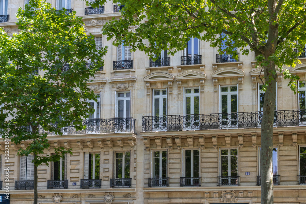French balconies in Paris seen through trees, full frame French balconies in Paris seen through trees, full frame