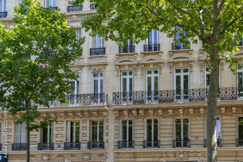 French balconies in Paris seen through trees, full frame