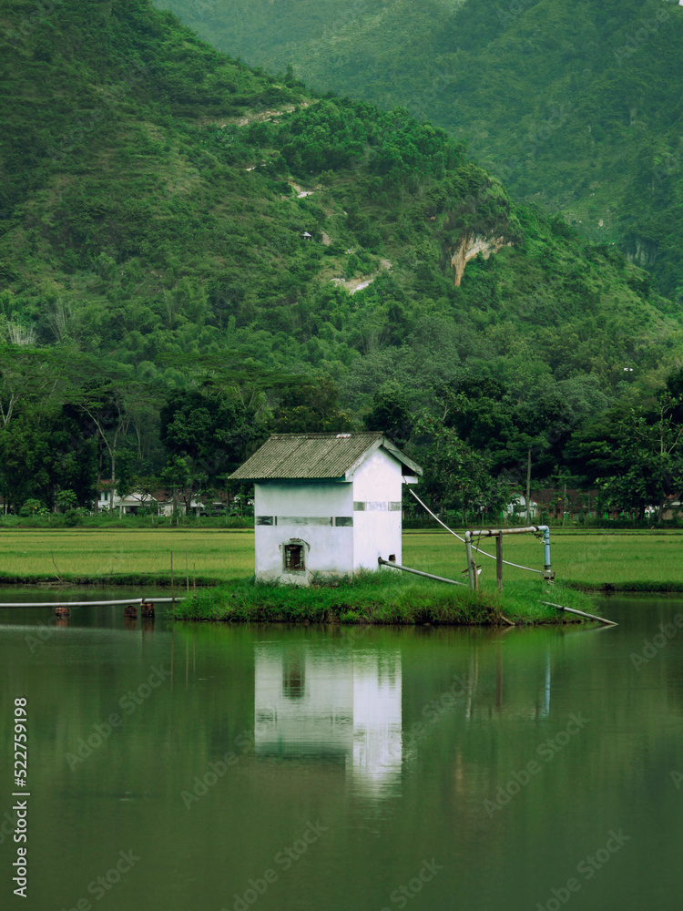 small house on the lake. fresh green themed background.