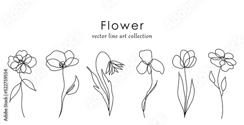 Minimal botanical hand drawing design for logo and wedding invitation. Floral line art. Flower and leaves design collection for bouquets decoration, card and packaging background