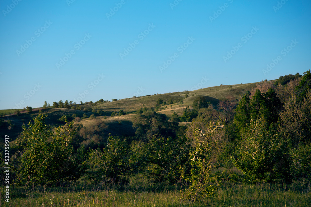 Beautiful landscape on a sunny day. An earthen road. A landscape with a colorful sky under the sun. Mountain slope. Green trees.against the background of a green forest clearing.summer meadow