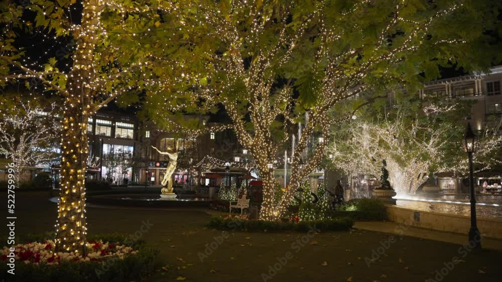 Christmas lights and fountain in the park at night Christmas lights and fountain in the park at night