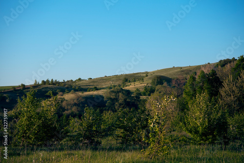 Beautiful landscape on a sunny day. An earthen road. A landscape with a colorful sky under the sun. Mountain slope. Green trees.against the background of a green forest clearing.summer meadow © ELENA