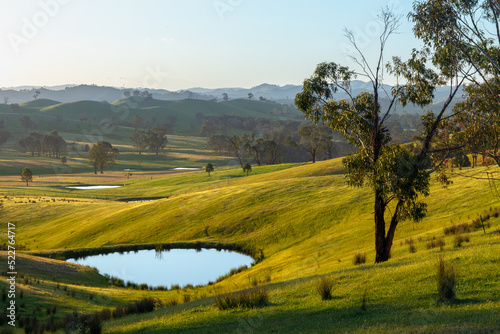 Rural landscape with undulating green hills photo