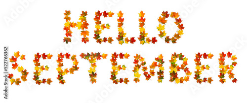 Hello September lettering text from of colorful autumnal maple leaves on white background. Top view, flat lay