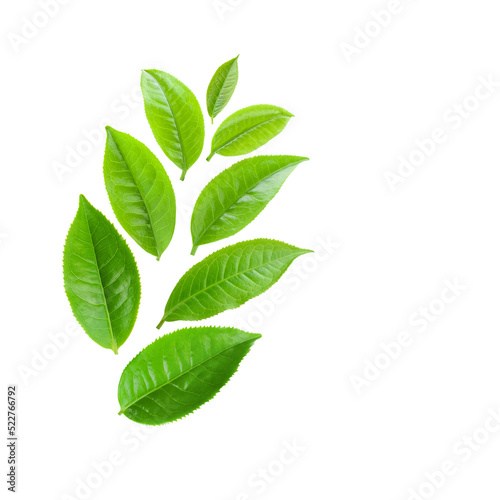 Tea leaves isolated on transparent png