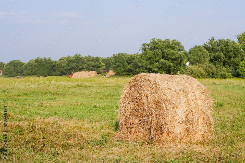 A haystack in the background of the village. Rural life. Village life. Haystack for horses.