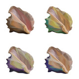 A set of watercolor pink, green, blue, purple seashell icons isolated on white background