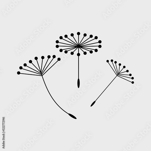 Silhouette of a dandelion with flying seeds. Black and white illustration of a flower.