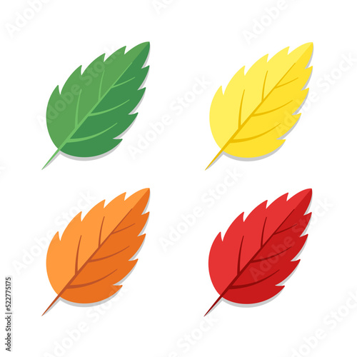 Red, green, yellow and orange leaves isolated on white background. Best for decoration, seamless patterns and web design.