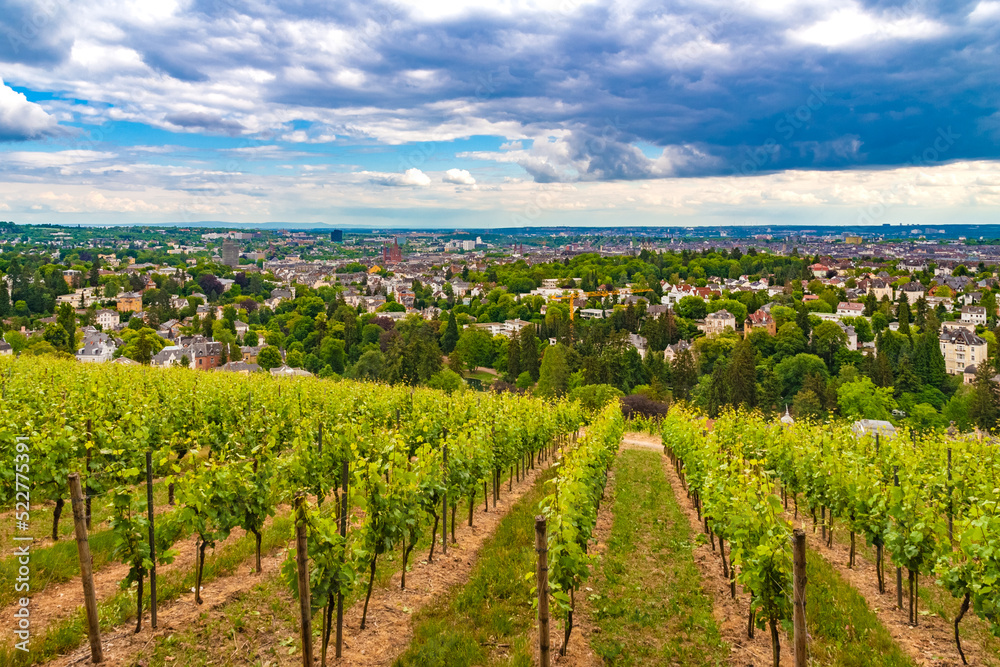 Lovely panoramic view of Wiesbaden, state capital of Hesse, Germany, seen from the Wiesbadener Neroberg vineyard on the southern slope of the Neroberg hill.