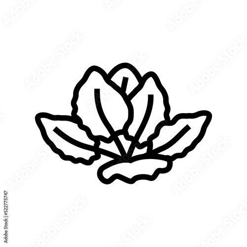tiger lotus line icon vector. tiger lotus sign. isolated contour symbol black illustration