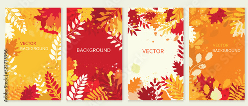 Vector backgrounds on an autumn theme with a place for text. Autumn leaves.