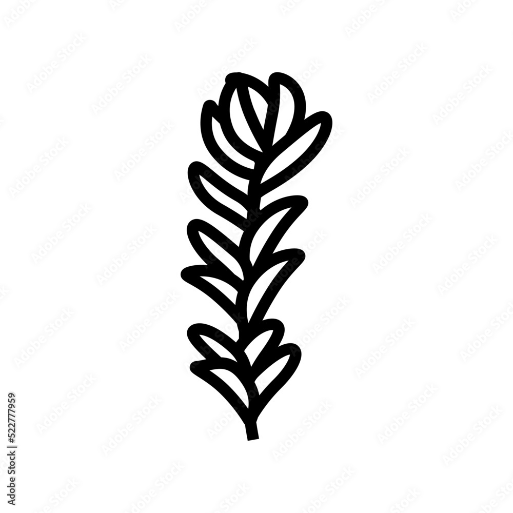 rotala rotundifolia seaweed line icon vector. rotala rotundifolia seaweed sign. isolated contour symbol black illustration