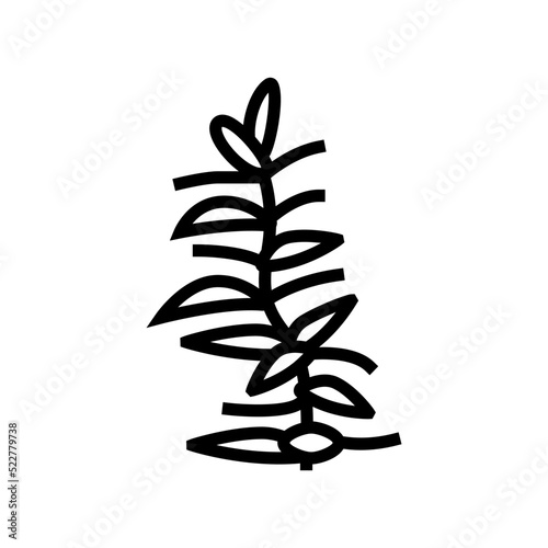 hydrophilia polyspermy line icon vector. hydrophilia polyspermy sign. isolated contour symbol black illustration