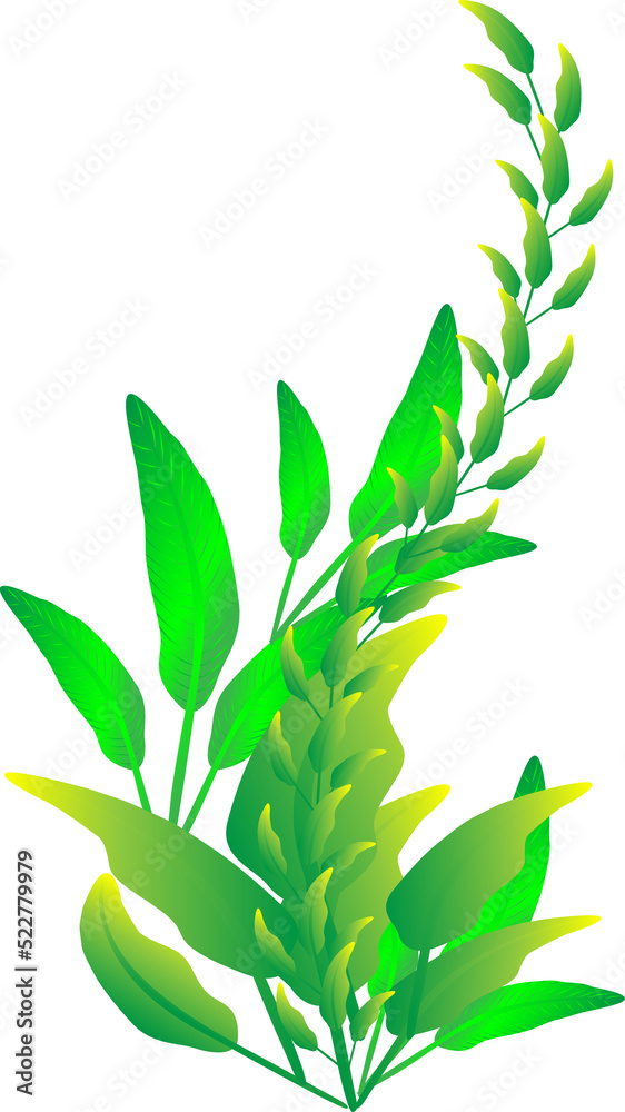 Fototapeta premium Flora plants tree for decorative