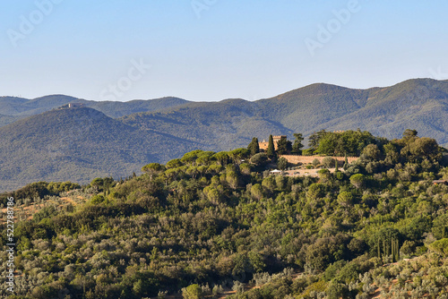 Tuscan landscape with woody hills in the Upper Maremma, Castagneto Carducci, Livorno, Tuscany, Italy photo
