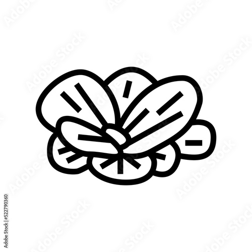 water lettuce line icon vector. water lettuce sign. isolated contour symbol black illustration