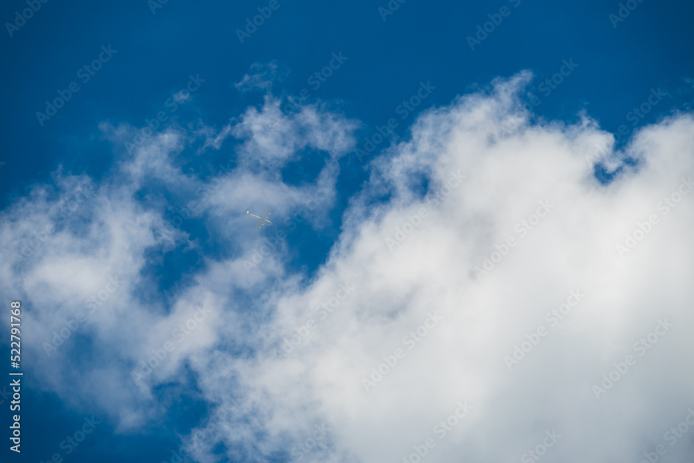 夏の青い空白い雲 夏の青い空白い雲