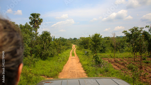 Chemin de brousse menant aux elephants dans le nord du Togo, afrique de l'ouest, Sarakawa