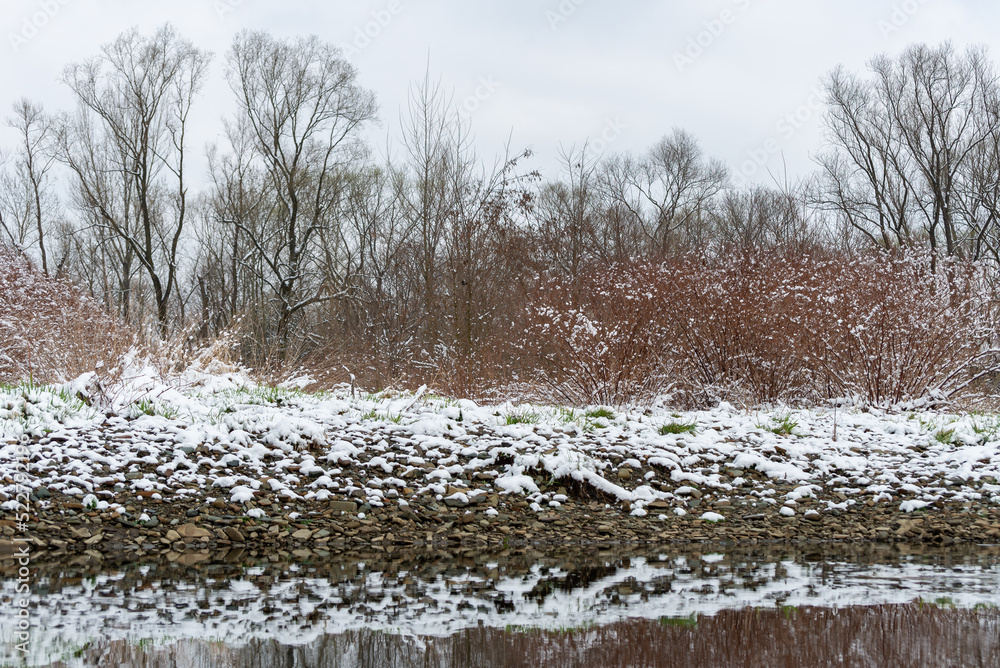 Bielsko-Biała, dopływ Wisły, wczesna wiosna, brzeg rzeki odbijający się w wodzie, śnieg, drzewa, woda, kamienisty brzeg. - obrazy, fototapety, plakaty 